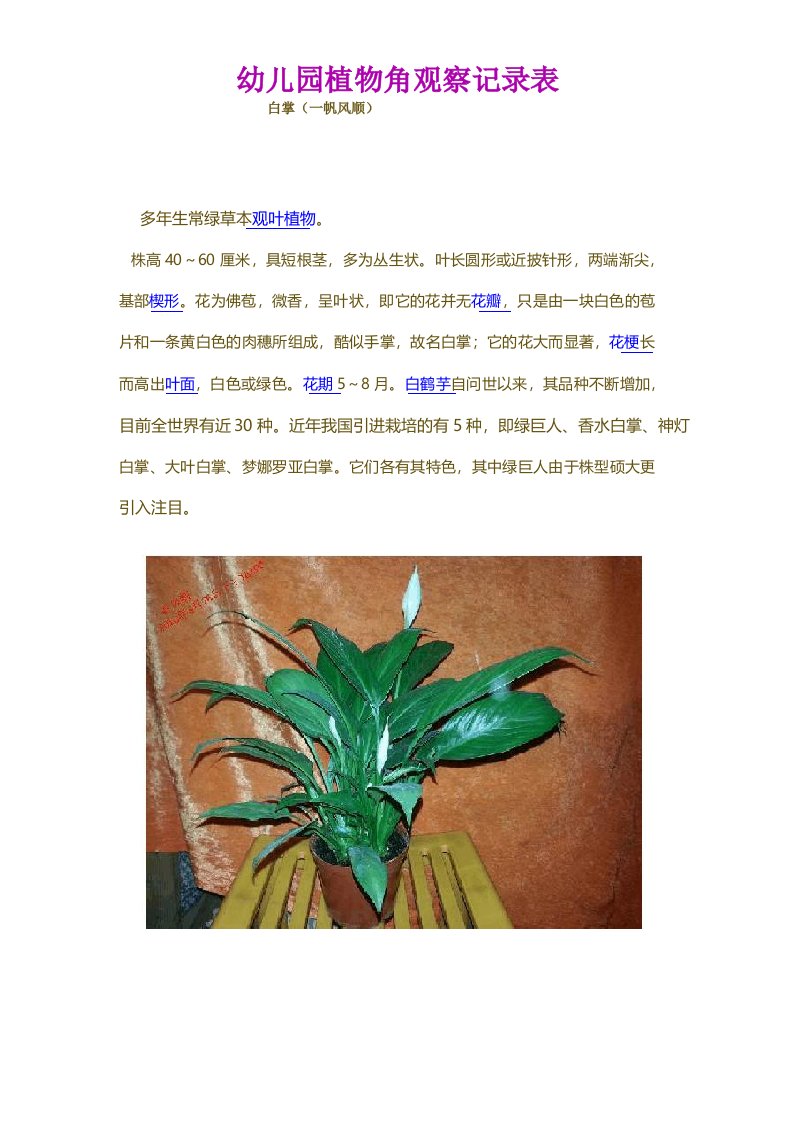 幼儿园植物角观察记录表(一)