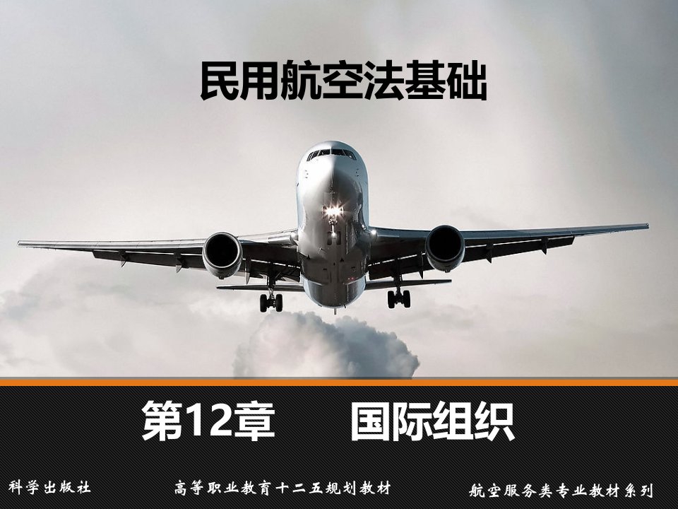 民用航空法基础第12章国际组织