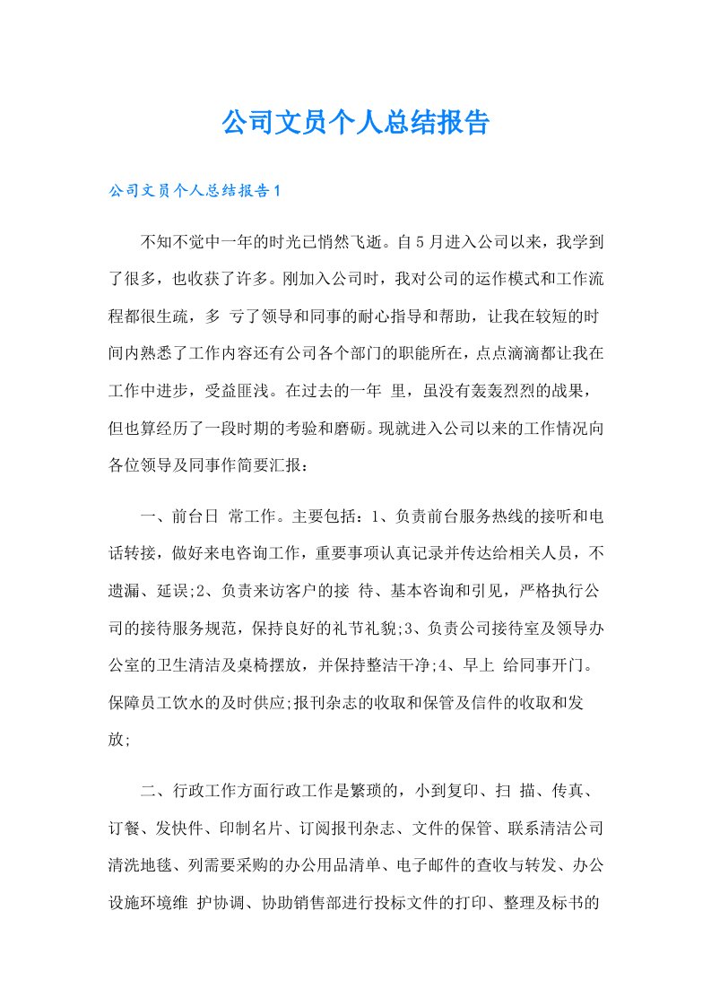 公司文员个人总结报告