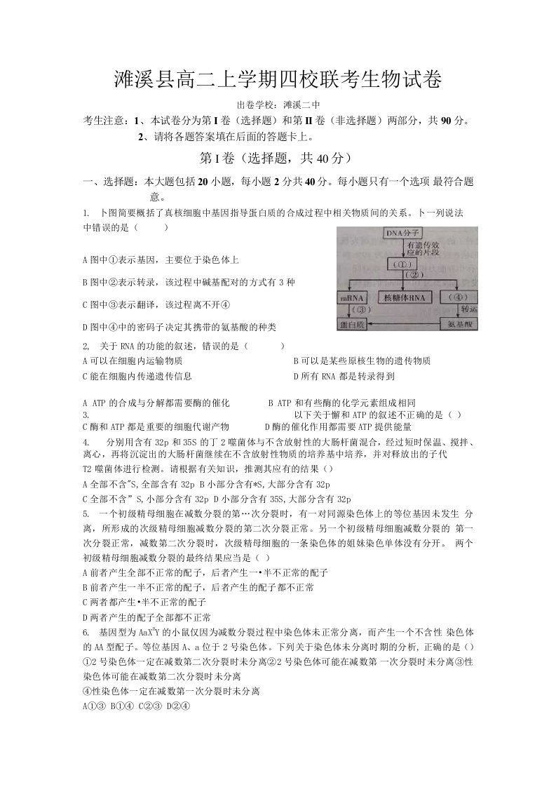 濉溪县高二上学期四校联考生物试卷