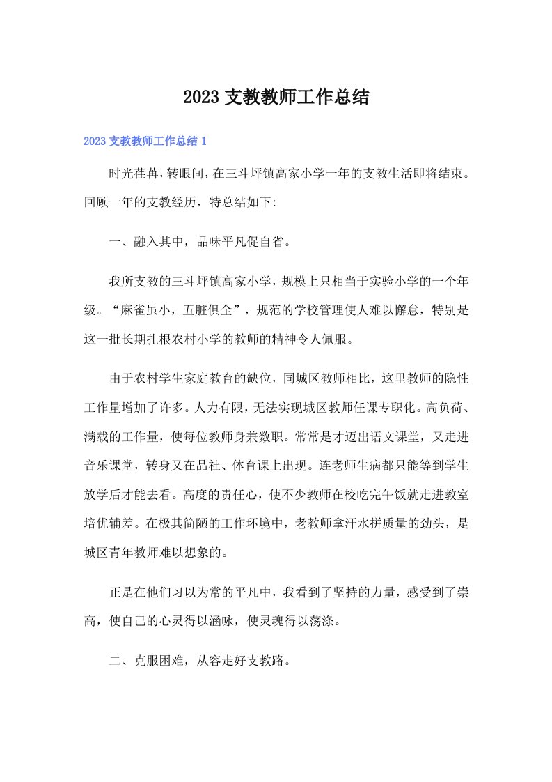 2023支教教师工作总结