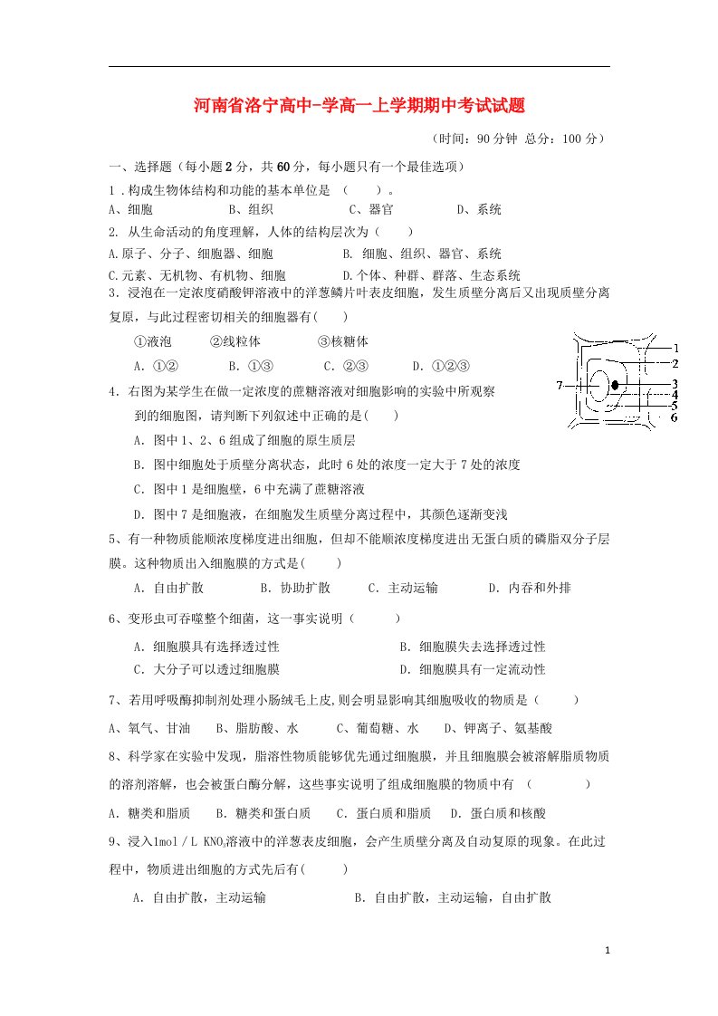 河南省洛宁高中高一生物上学期期中试题新人教版