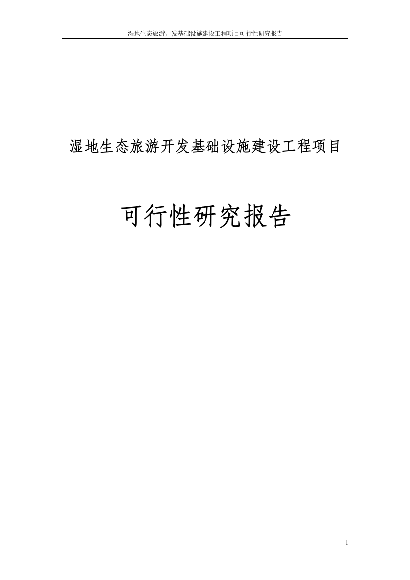 沅江湿地生态旅游开发基础设施建设工程项目可行性投资计划书