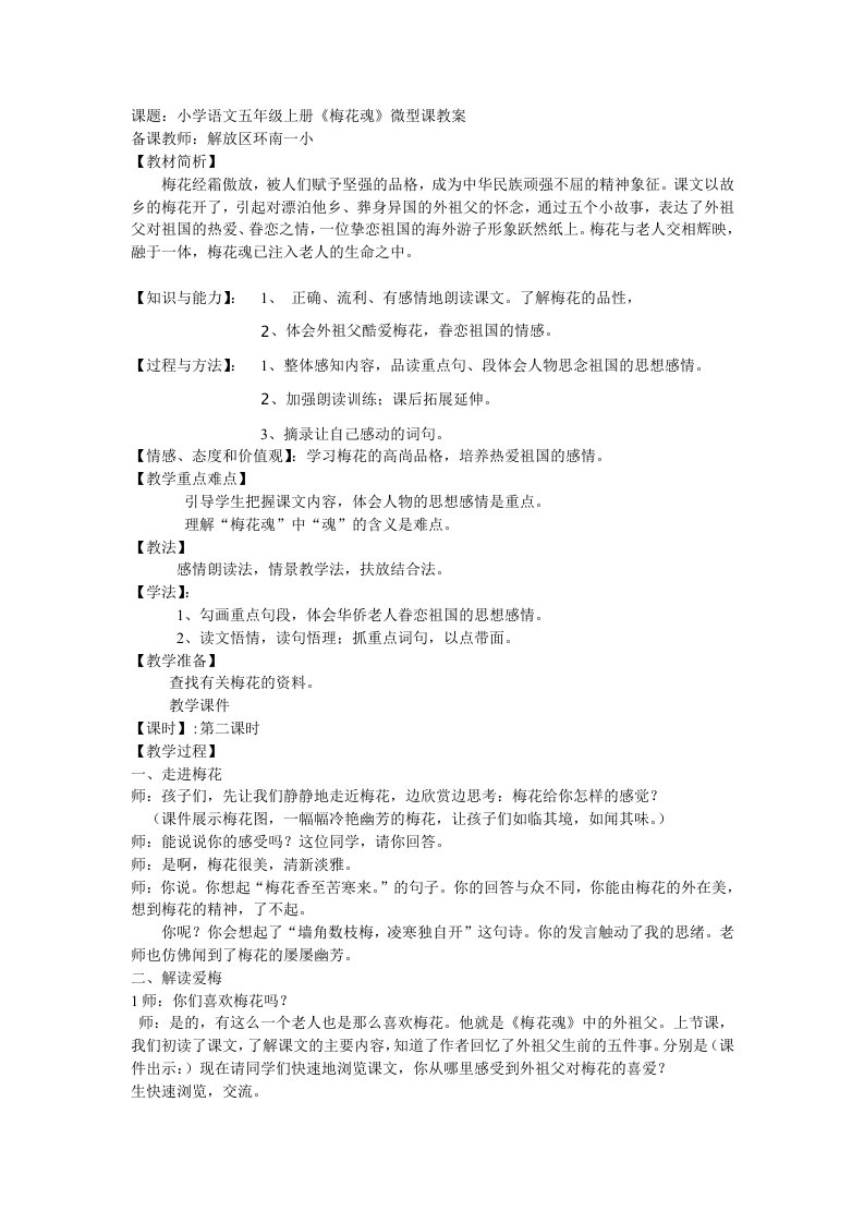 梅花魂微型课堂教案文档