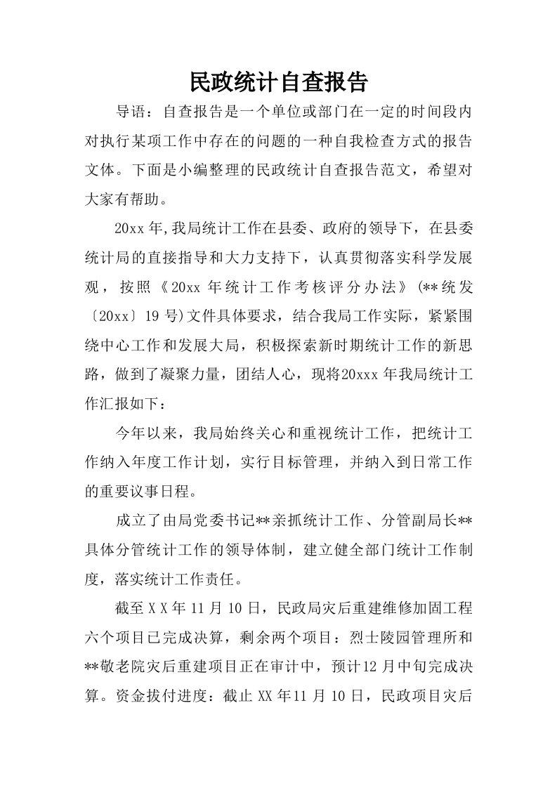 民政统计自查报告.doc