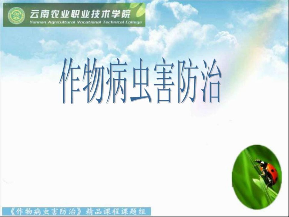 《害虫与农药介绍》PPT课件