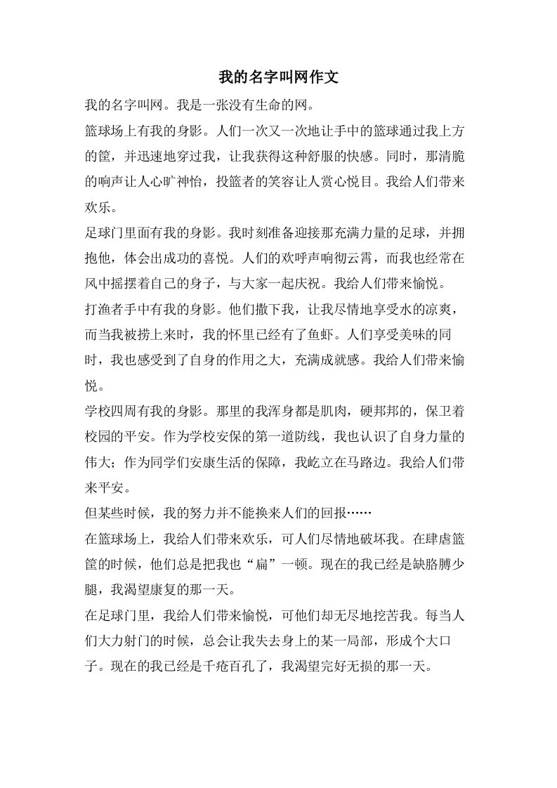 我的名字叫网作文