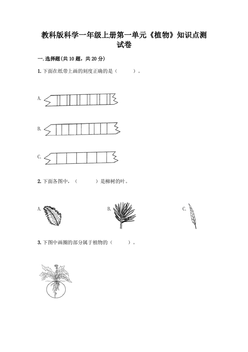 教科版科学一年级上册第一单元《植物》知识点测试卷及完整答案(易错题)