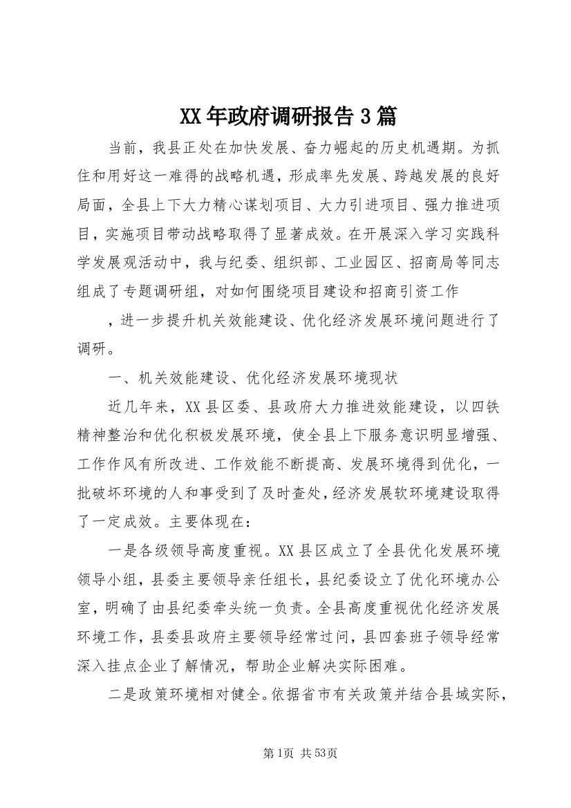 XX年政府调研报告3篇