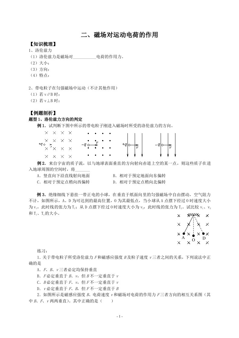 高三一轮复习教学案《磁场对运动电荷的作用》