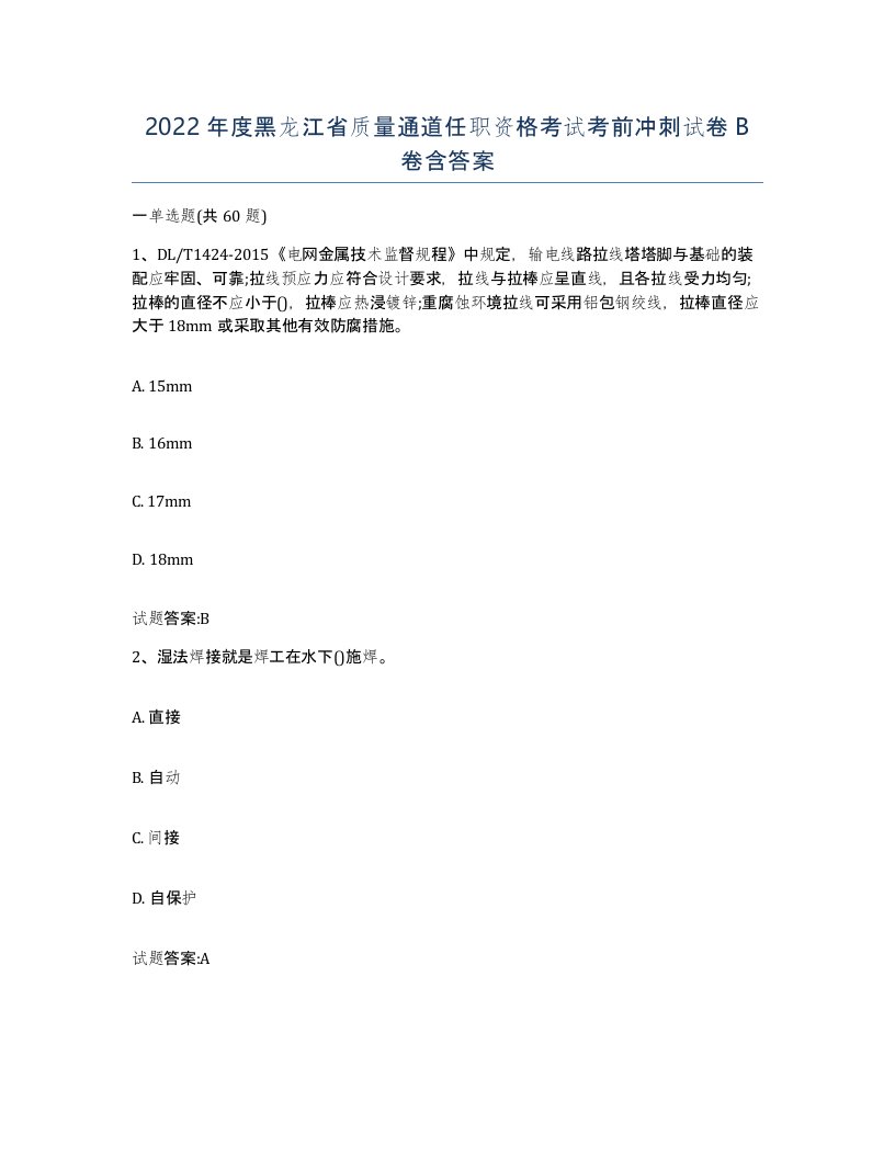 2022年度黑龙江省质量通道任职资格考试考前冲刺试卷B卷含答案