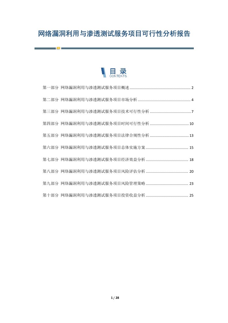 网络漏洞利用与渗透测试服务项目可行性分析报告