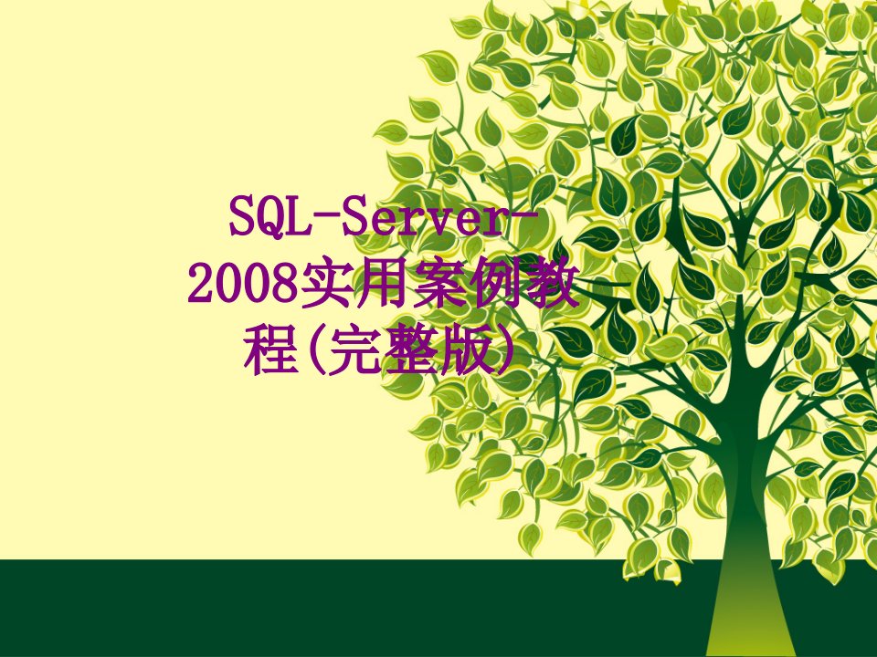 SQLServer实用案例教程完整版经典课件