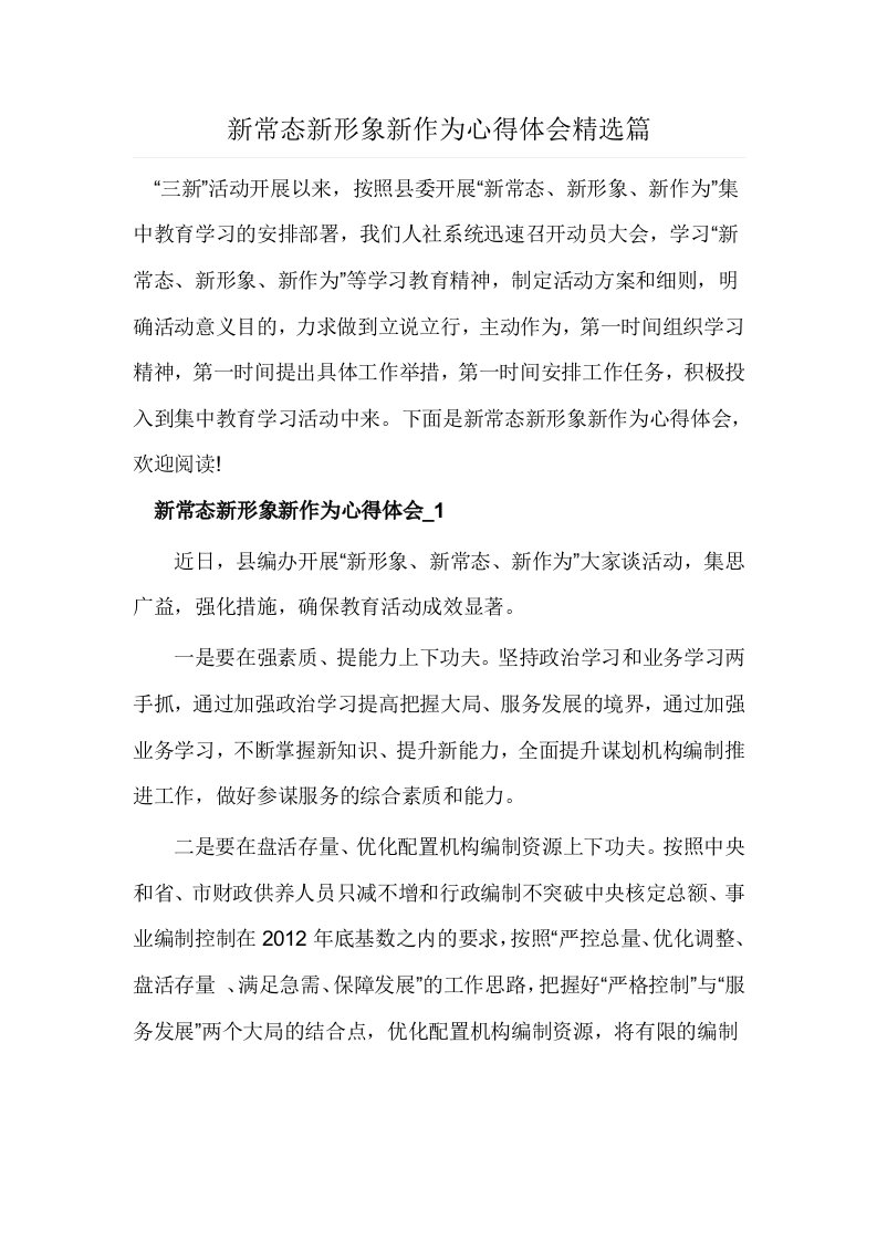 新常态新形象新作为心得体会精选篇