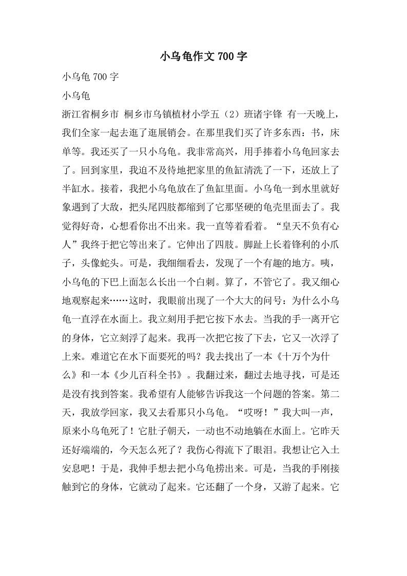 小乌龟作文700字