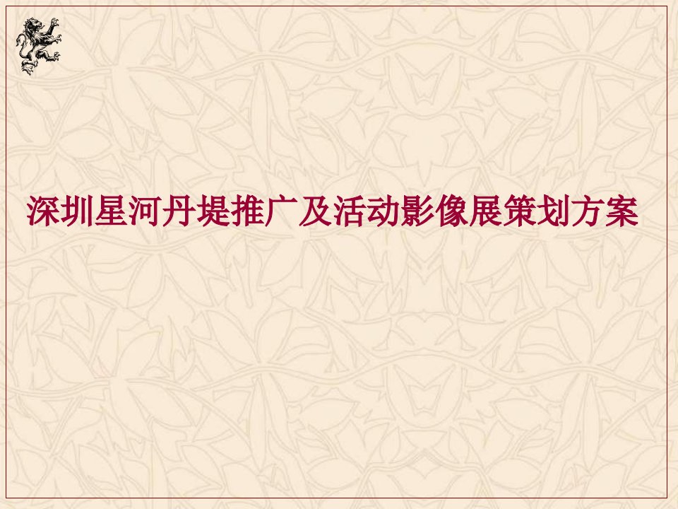 深圳星河丹堤推广及活动影像展策划方案