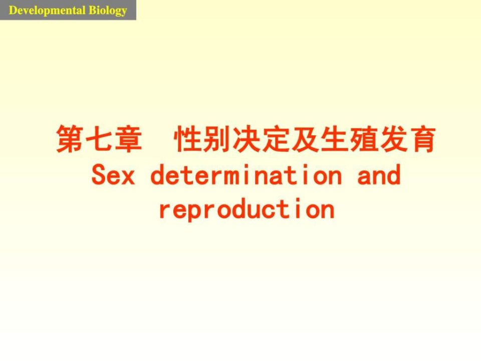 发育生物学课件7sex