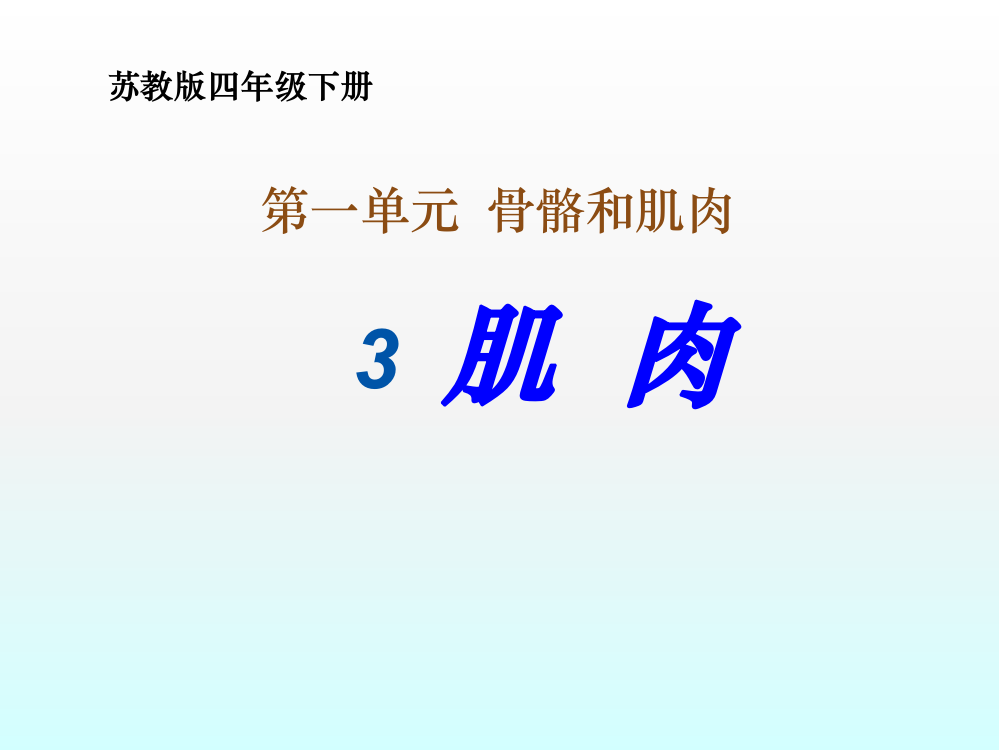 苏教版四年级下册科学肌肉ppt课件