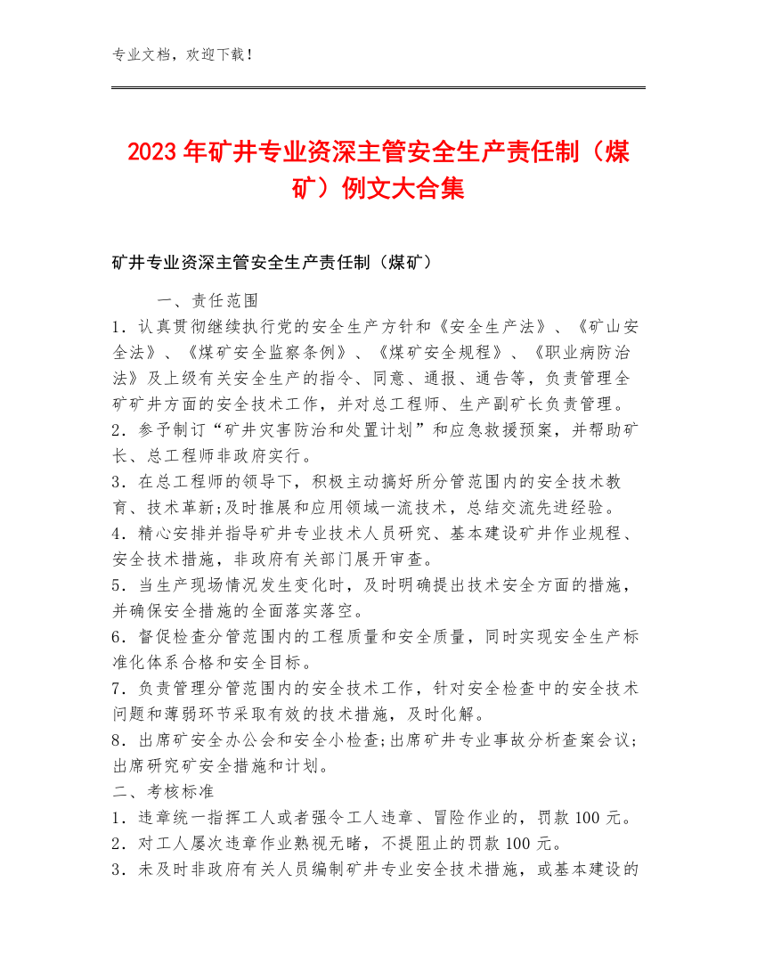 2023年矿井专业资深主管安全生产责任制（煤矿）例文大合集