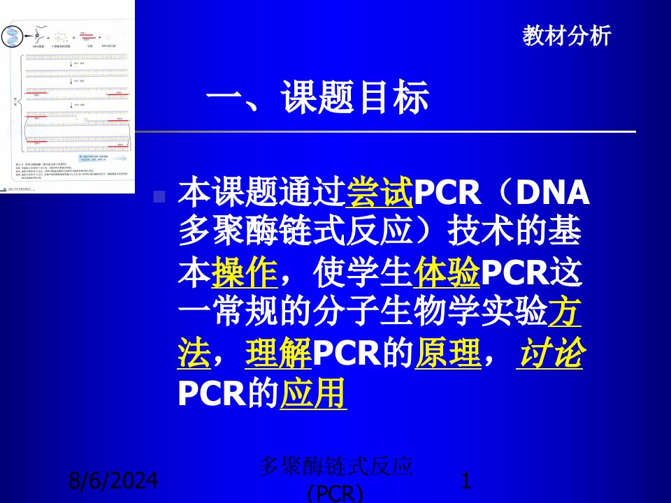 2020年多聚酶链式反应(PCR)