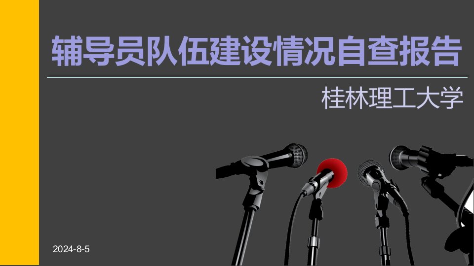 辅导员队伍建设情况自查报告