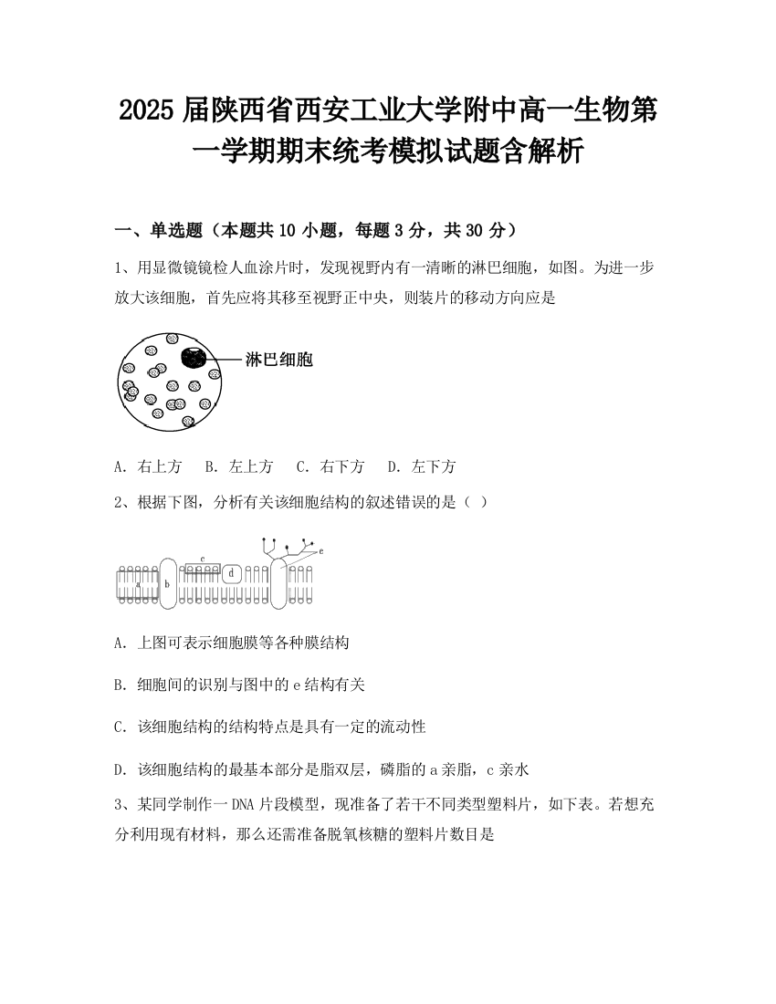 2025届陕西省西安工业大学附中高一生物第一学期期末统考模拟试题含解析