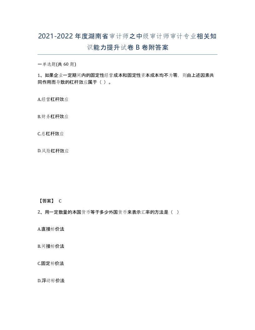 2021-2022年度湖南省审计师之中级审计师审计专业相关知识能力提升试卷B卷附答案