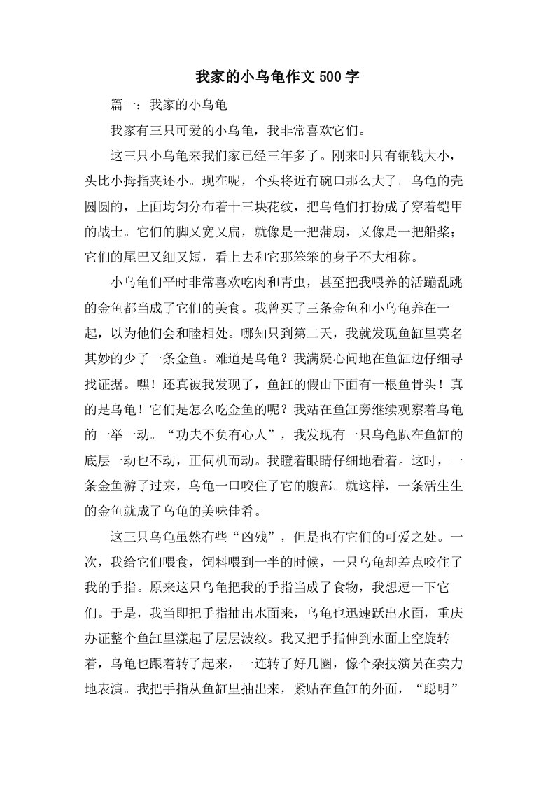 我家的小乌龟作文500字