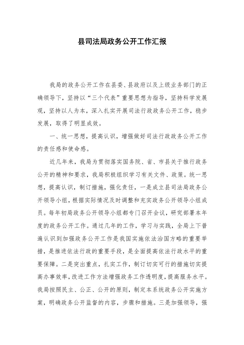 县司法局政务公开工作汇报