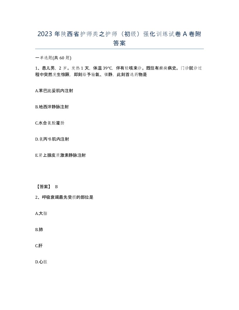 2023年陕西省护师类之护师初级强化训练试卷A卷附答案