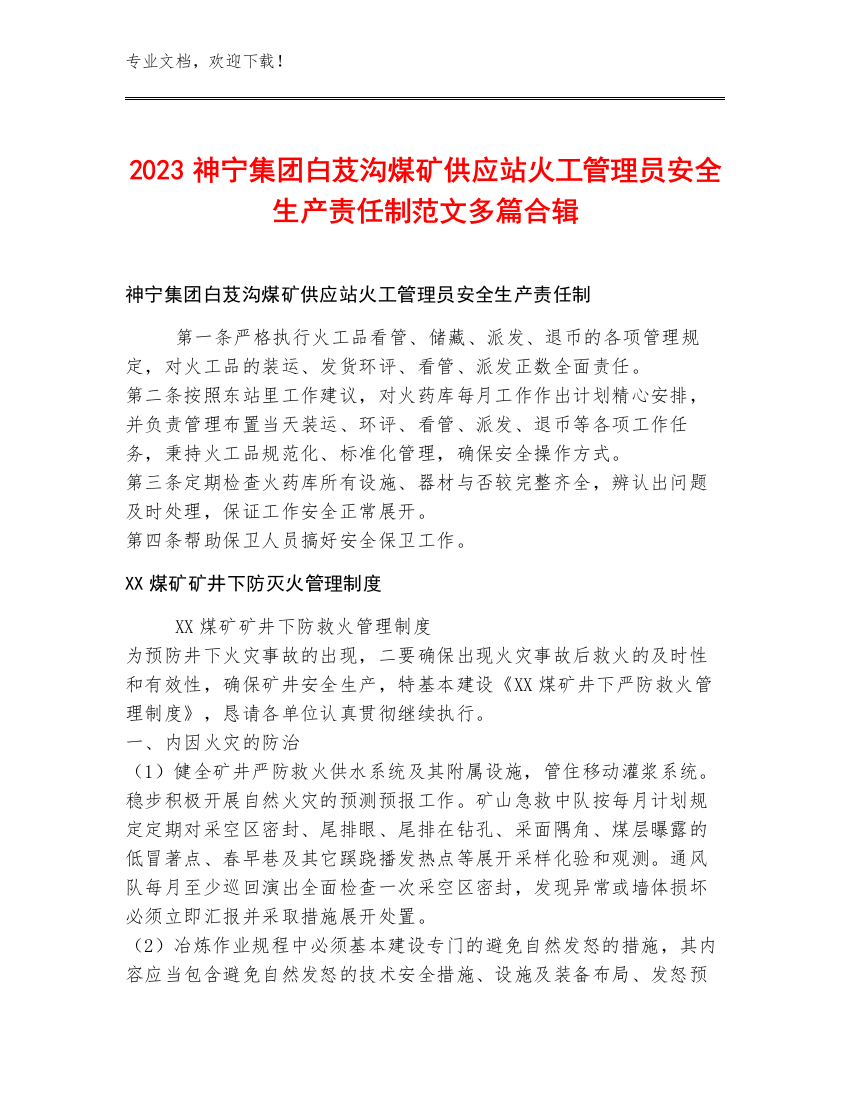 2023神宁集团白芨沟煤矿供应站火工管理员安全生产责任制范文多篇合辑