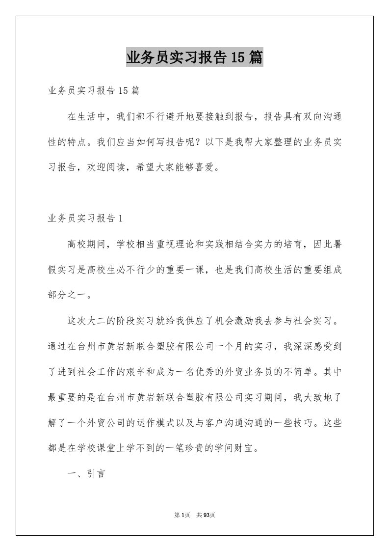 业务员实习报告15篇