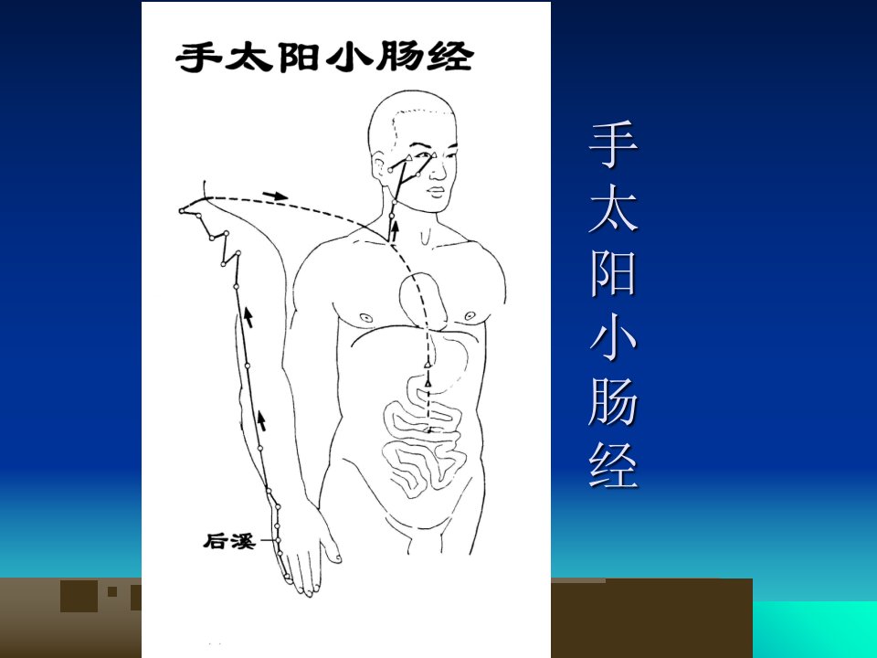 6.手太阳经络与腧穴