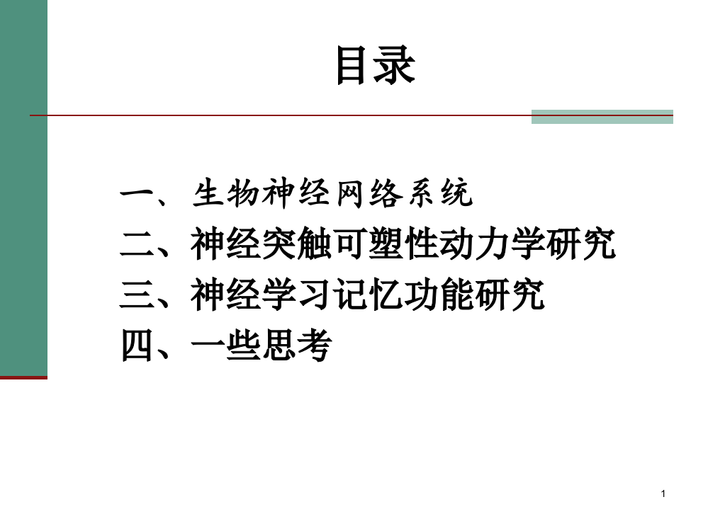 脉冲时间依赖的突触可塑性