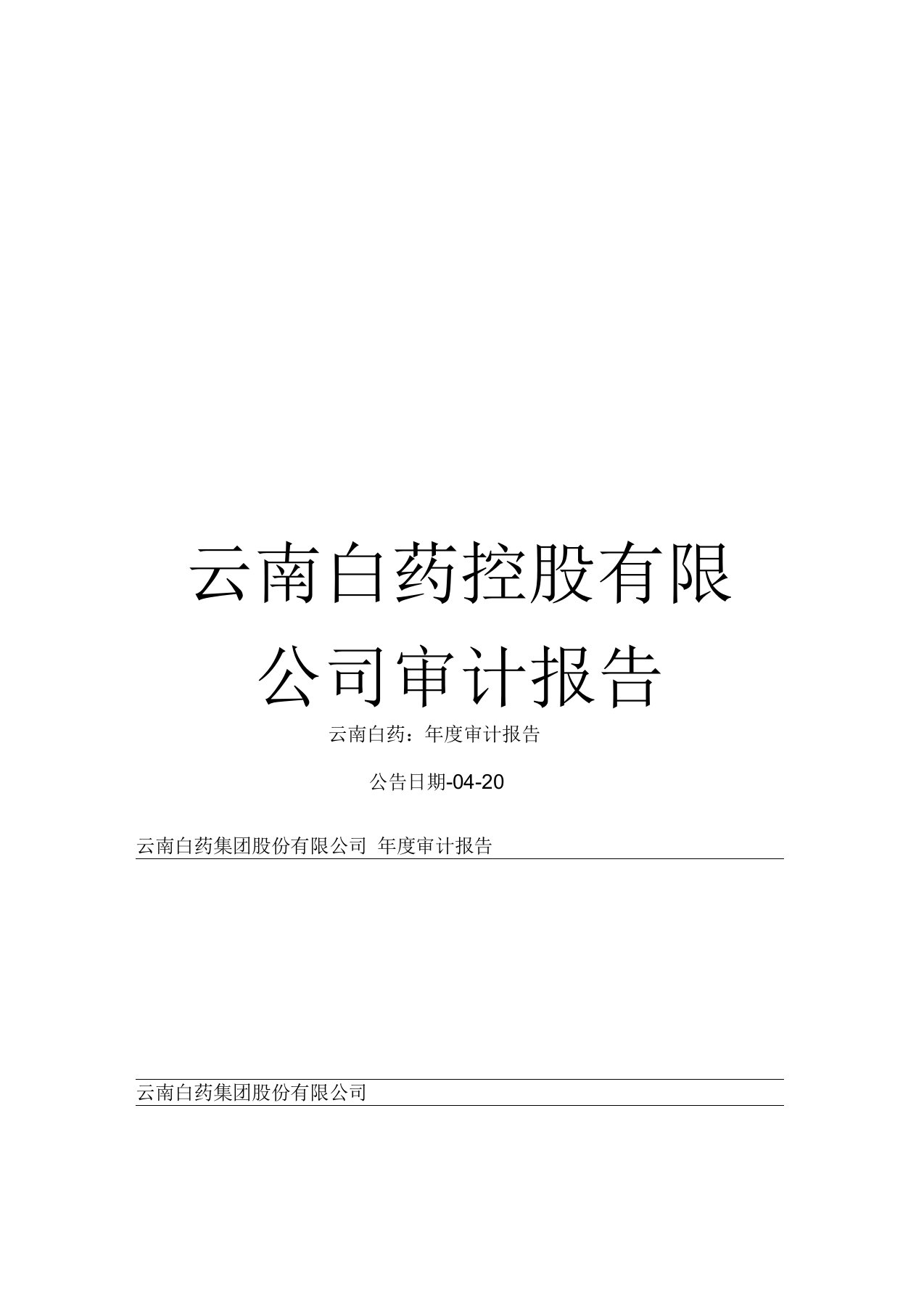 云南白药控股有限公司审计报告