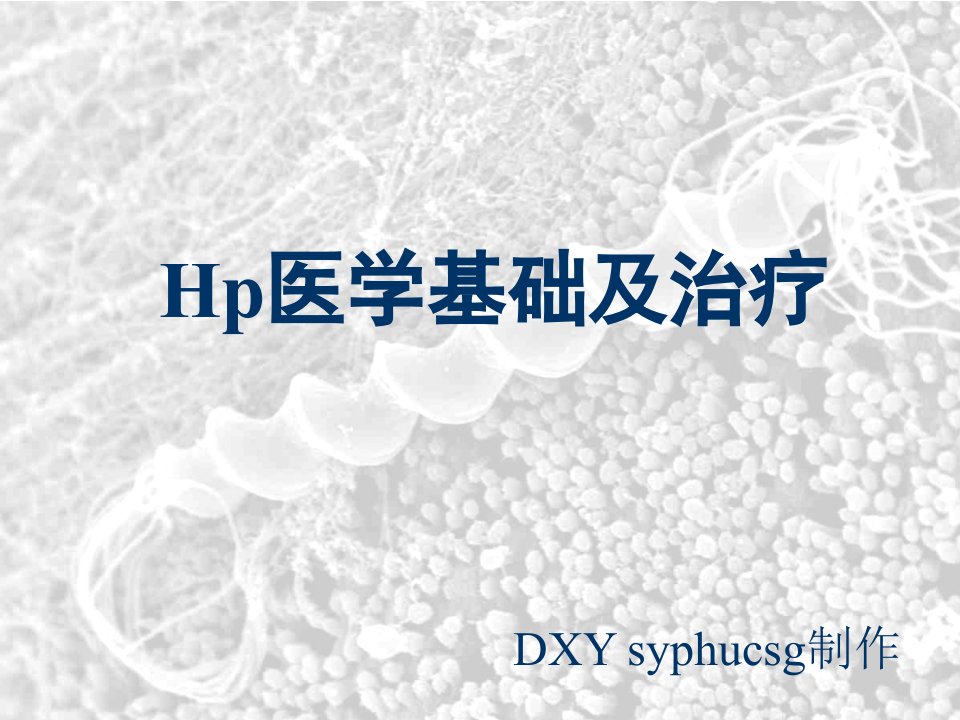 《Hp医学基础及治疗》PPT课件