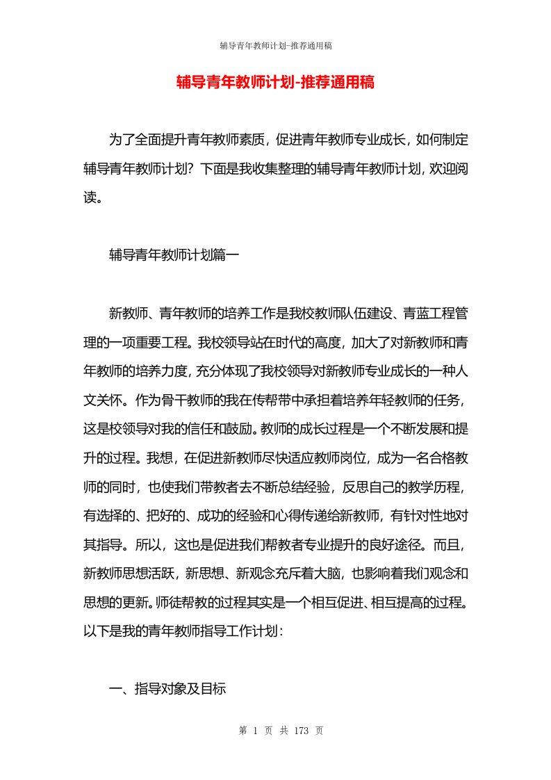 辅导青年教师计划