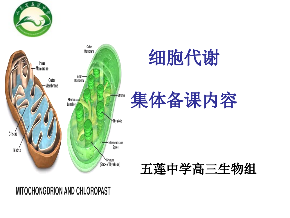 高三生物代谢模块集体备课模板