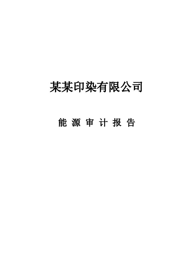 某某印染有限公司能源审计报告