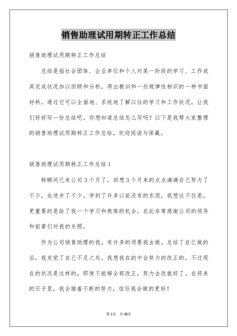 销售助理试用期转正工作总结例文8