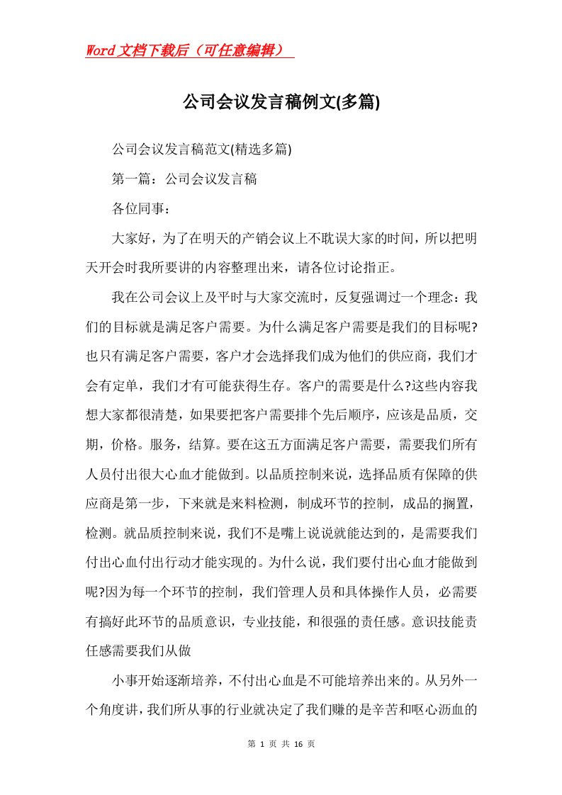 公司会议发言稿例文多篇