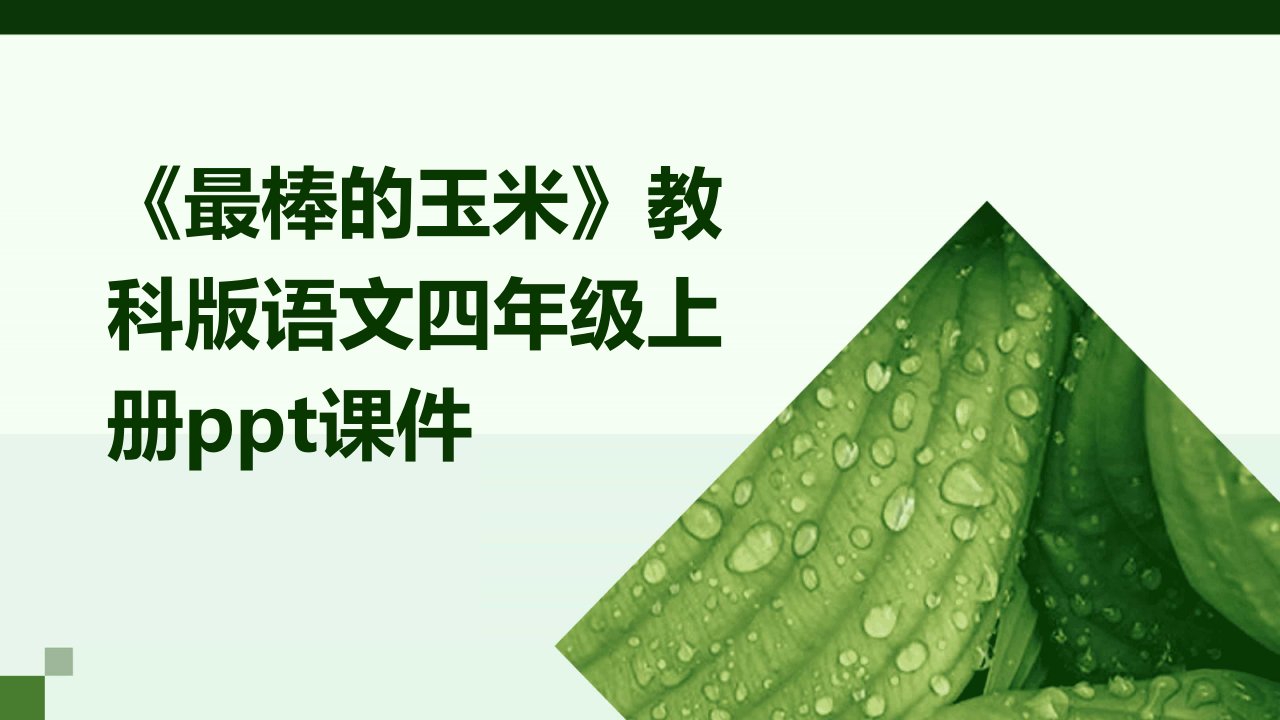 《最棒的玉米》教科版语文四年级上册课件