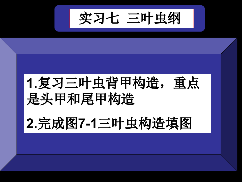 古生物地质学实习指导-三叶虫40