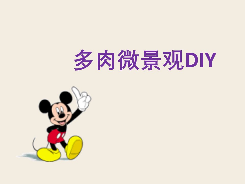 综合实践活动优质课《多肉微景观DIY》课件