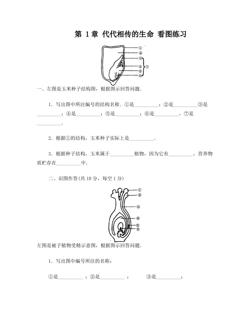 新7下科学看图练习