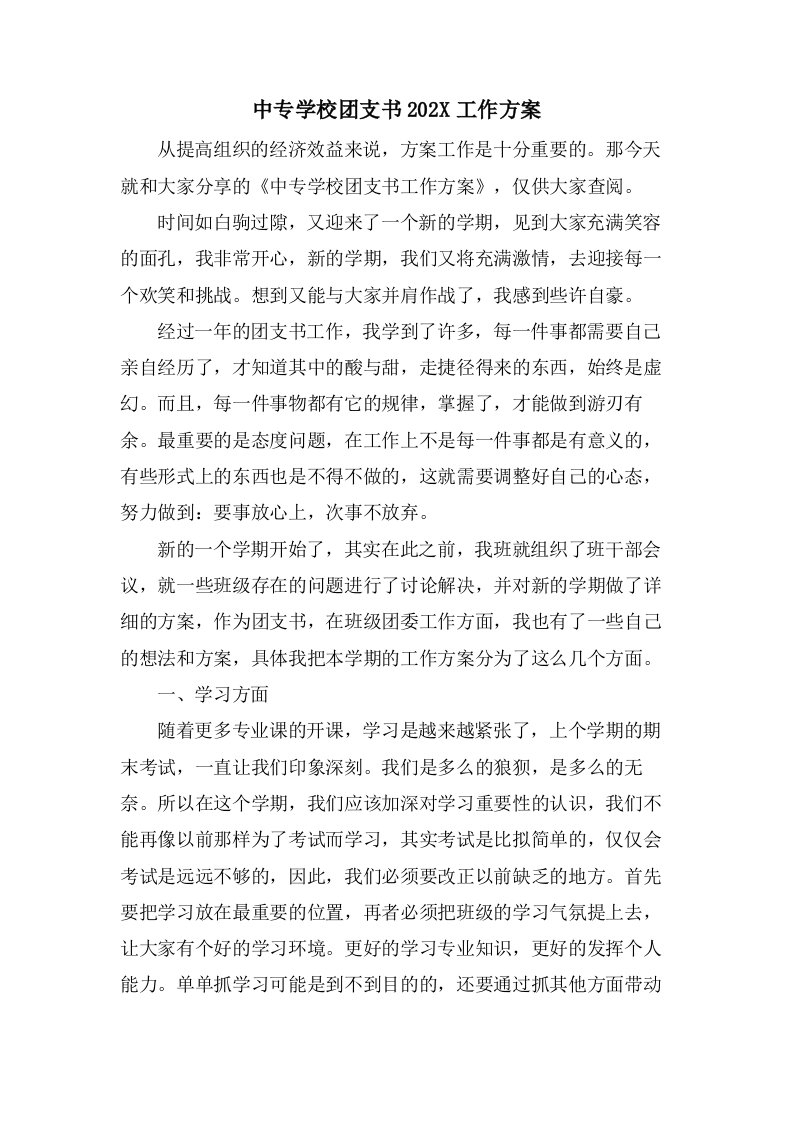 中专学校团支书工作计划