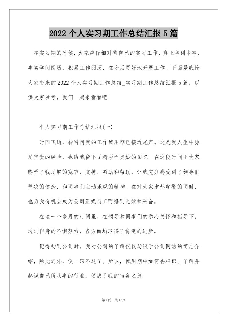 2022个人实习期工作总结汇报5篇