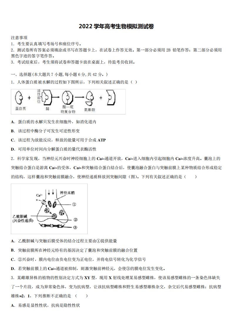 2024学年湖北省孝感市八校高三下学期第五次调研考试生物试题((含答案精品