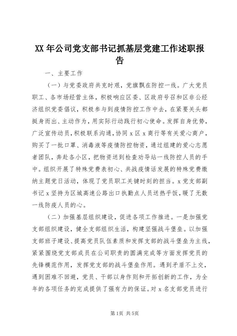 4某年公司党支部书记抓基层党建工作述职报告