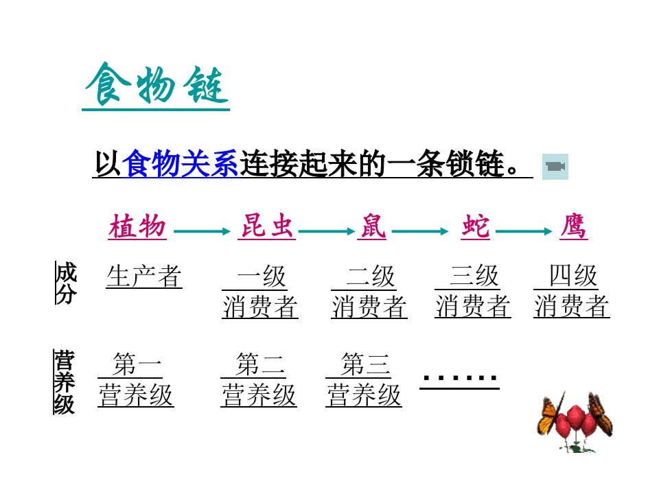 七年级科学生态系统